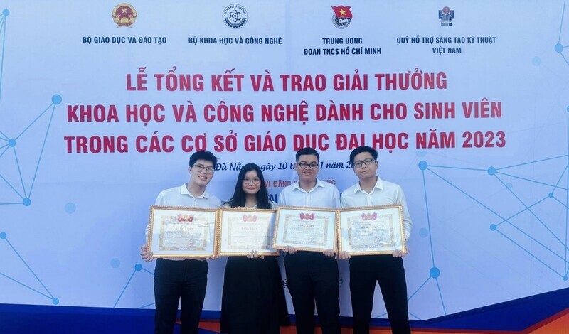 cá cược thể thao hul city